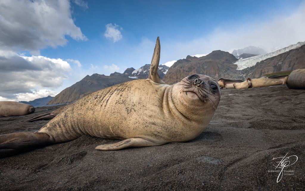 South Georgia