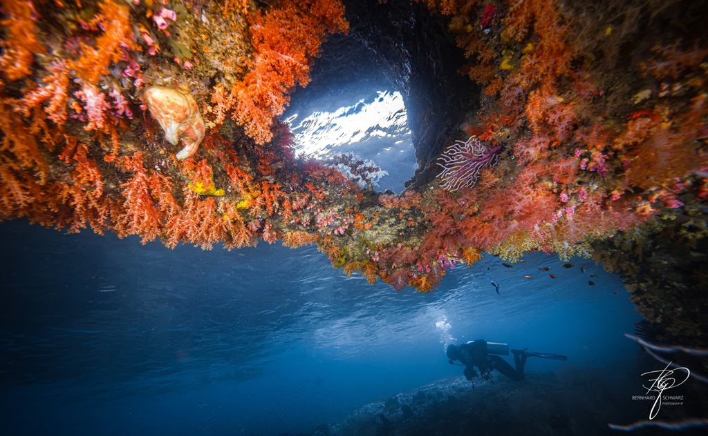 TRITON BAY