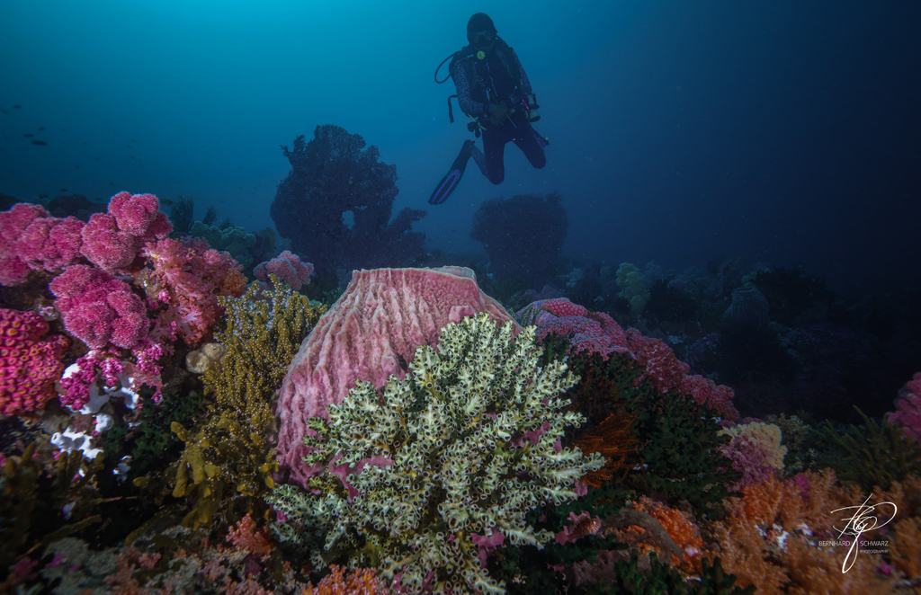 TRITON BAY