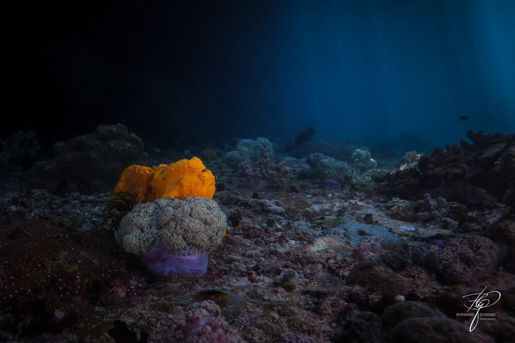 TRITON BAY